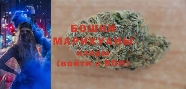 дурь Богданович