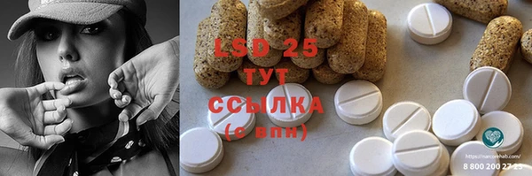 шишки Бородино