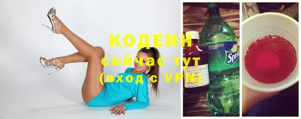 гашик Богородицк
