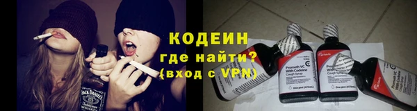 дурь Богданович