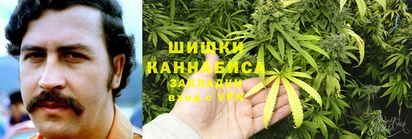гашик Богородицк