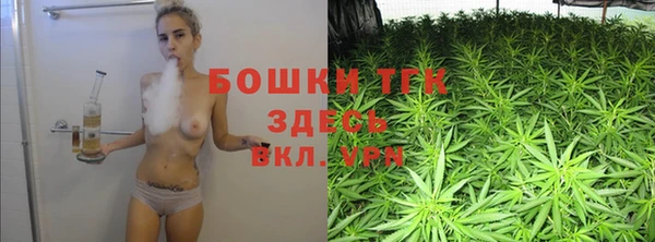 гашик Богородицк