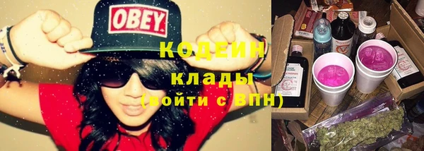 дурь Богданович