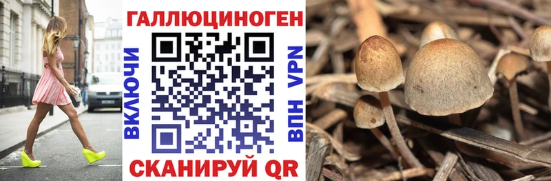 Купить закладки  Осташков  Псилоцибиновые грибы MAGIC MUSHROOMS 